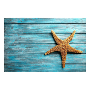 Turquoise Starfish - Peel & Stick Photo Chalkboard, includes a chisel tip chalk marker