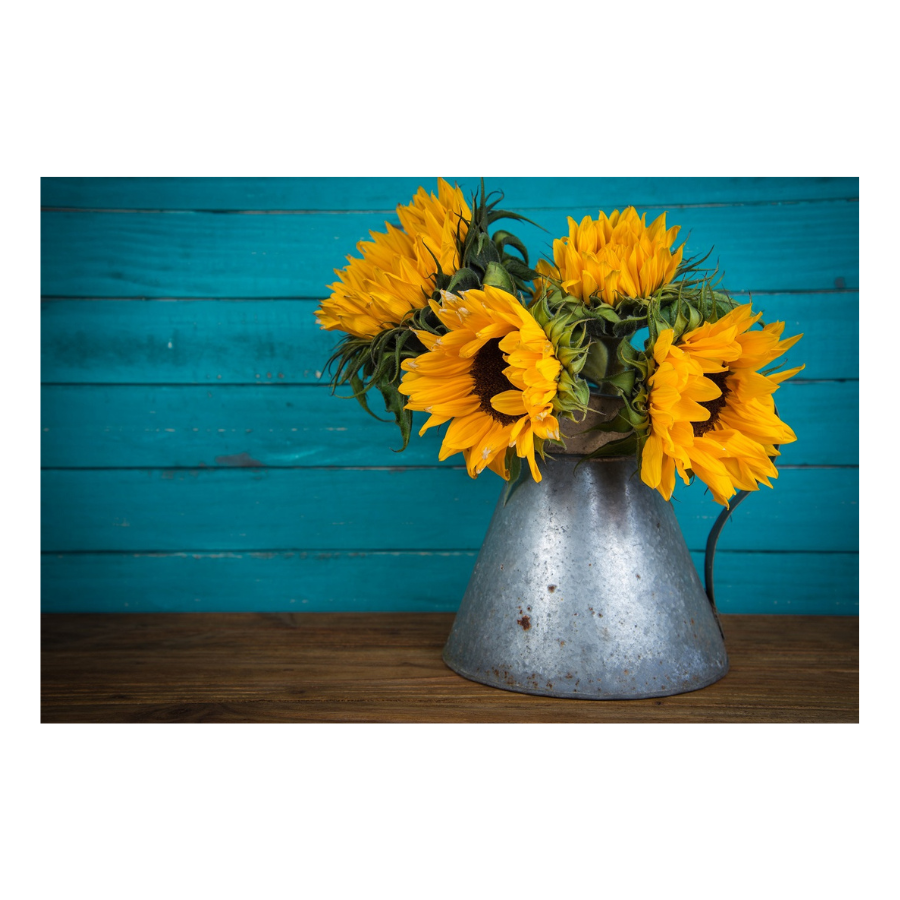 Turquoise Sunflowers - Peel & Stick Photo Chalkboard, includes a chisel tip chalk marker