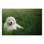 Load image into Gallery viewer, Golden Pup - Peel &amp; Stick Photo Chalkboard, includes a chisel tip chalk marker
