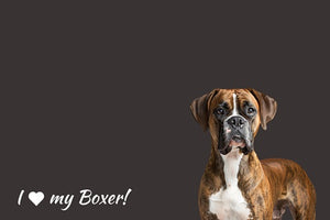 Boxer