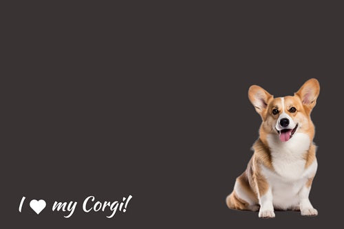 Corgi