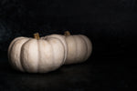 Load image into Gallery viewer, &quot;Two White Pumpkins&quot;  PHOTO CHALKBOARD Includes Chalkboard, Chalk Marker &amp; Stand (Copy) (Copy)
