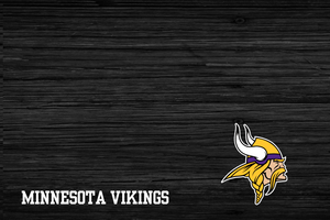 MINNESOTA VIKINGS - GREY