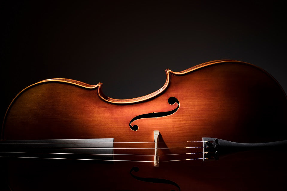 "Violin" PHOTO CHALKBOARD - Includes Chalkboard, Chalk Marker and Standine