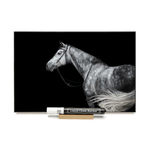 Load image into Gallery viewer, &quot;Black &amp; White Horse&quot;  PHOTO CHALKBOARD  Includes Chalkboard, Chalk Marker &amp; Stand
