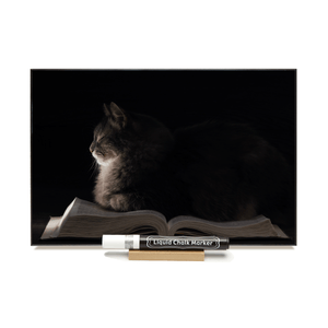 "Cat on a Book"  PHOTO CHALKBOARD Includes Chalkboard, Chalk Marker and Stand