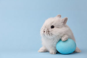"Blue Easter Bunny"  PHOTO CHALKBOARD  Includes Chalkboard, Chalk Marker & Stand