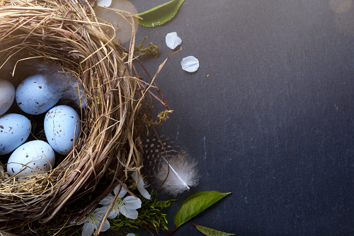 "Blue Easter Eggs in a Nest"  PHOTO CHALKBOARD  Includes Chalkboard, Chalk Marker & Stand