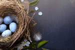 Load image into Gallery viewer, &quot;Blue Easter Eggs in a Nest&quot;  PHOTO CHALKBOARD  Includes Chalkboard, Chalk Marker &amp; Stand
