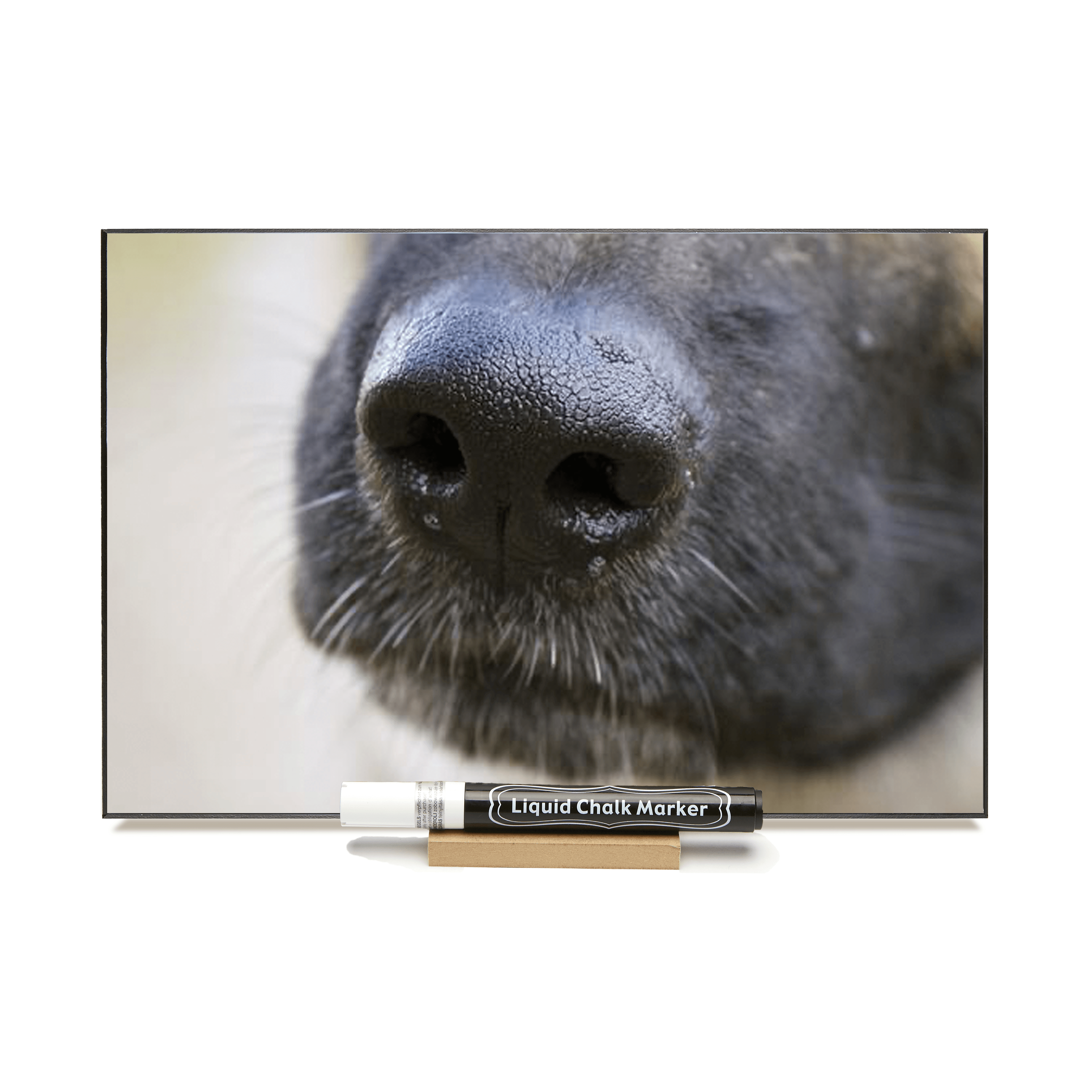 "Dog Black Nose"  PHOTO CHALKBOARD  Includes Chalkboard, Chalk Marker and Stand