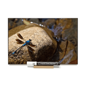"Dragonfly On Rock"  PHOTO CHALKBOARD  Chalkboard, Chalk Marker & Stand