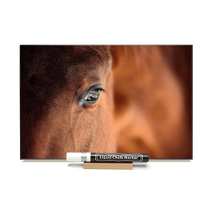 "Horse Eye"  PHOTO CHALKBOARD  Includes Chalkboard, Chalk Marker & Stand