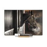 Load image into Gallery viewer, &quot;Horse in Stall&quot;  PHOTO CHALKBOARD  Includes Chalkboard, Chalk Marker &amp; Stand
