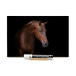 Load image into Gallery viewer, &quot;Horse Silhouette Left&quot;  PHOTO CHALKBOARD  Includes Chalkboard, Chalk Marker &amp; Stand
