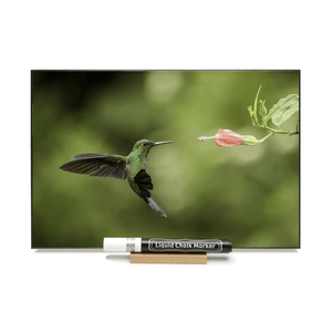 "Green Hummingbird"  PHOTO CHALKBOARD  Includes Chalkboard, Chalk Marker & Stand