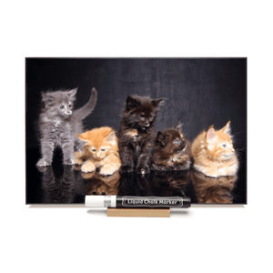 "Kittens"  PHOTO CHALKBOARDS  Includes Chalkboard, Chalk Marker and Stand