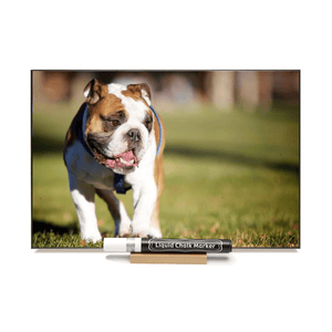 "Bulldog"  PHOTO CHALKBOARDS Includes Chalkboard, Chalk Marker and Stand