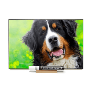 "Bernese" PHOTO CHALKBOARD Includes Chalkboard, Chalk Marker and Stand