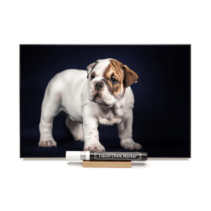 "English Bulldog"  PHOTO CHALKBOARD Includes Chalkboard, Chalk Marker and Stand