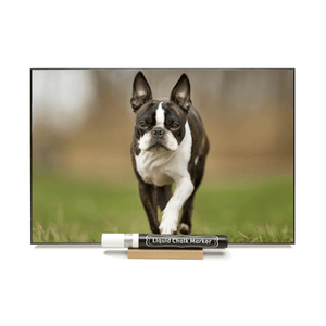 "Boston Terrier" PHOTO CHALKBOARD Includes Chalkboard, Chalk Marker and Stand