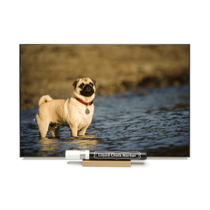 "Pug"  PHOTO CHALKBOARD  Includes Chalkboard, Chalk Marker and Stand