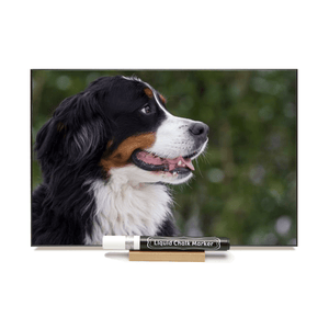 "Bernese Profile" PHOTO CHALKBOARD Includes Chalkboard, Chalk Marker and Stand