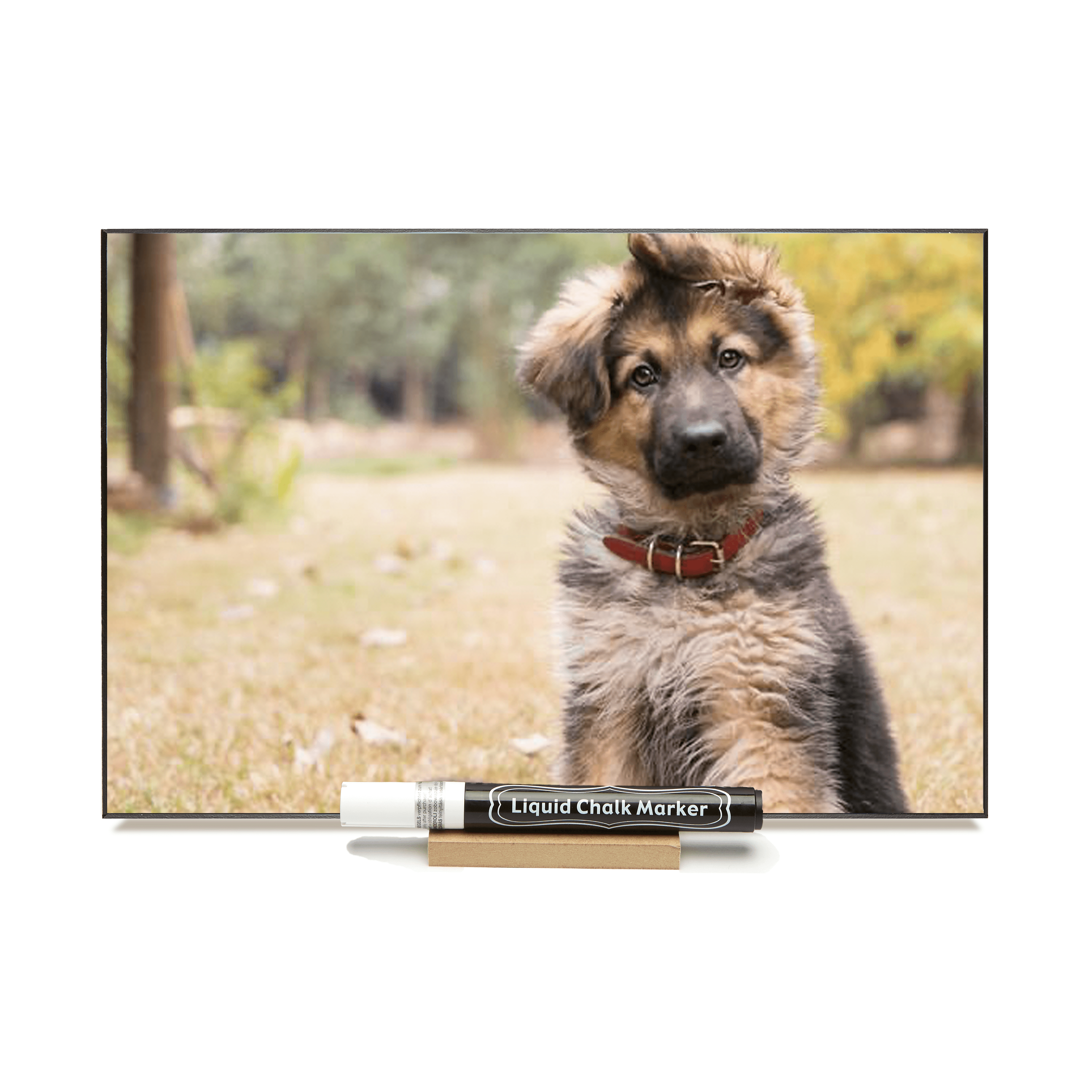 "Shepard Pup"  PHOTO CHALKBOARDS  Includes Chalkboard, Chalk Marker and Stand