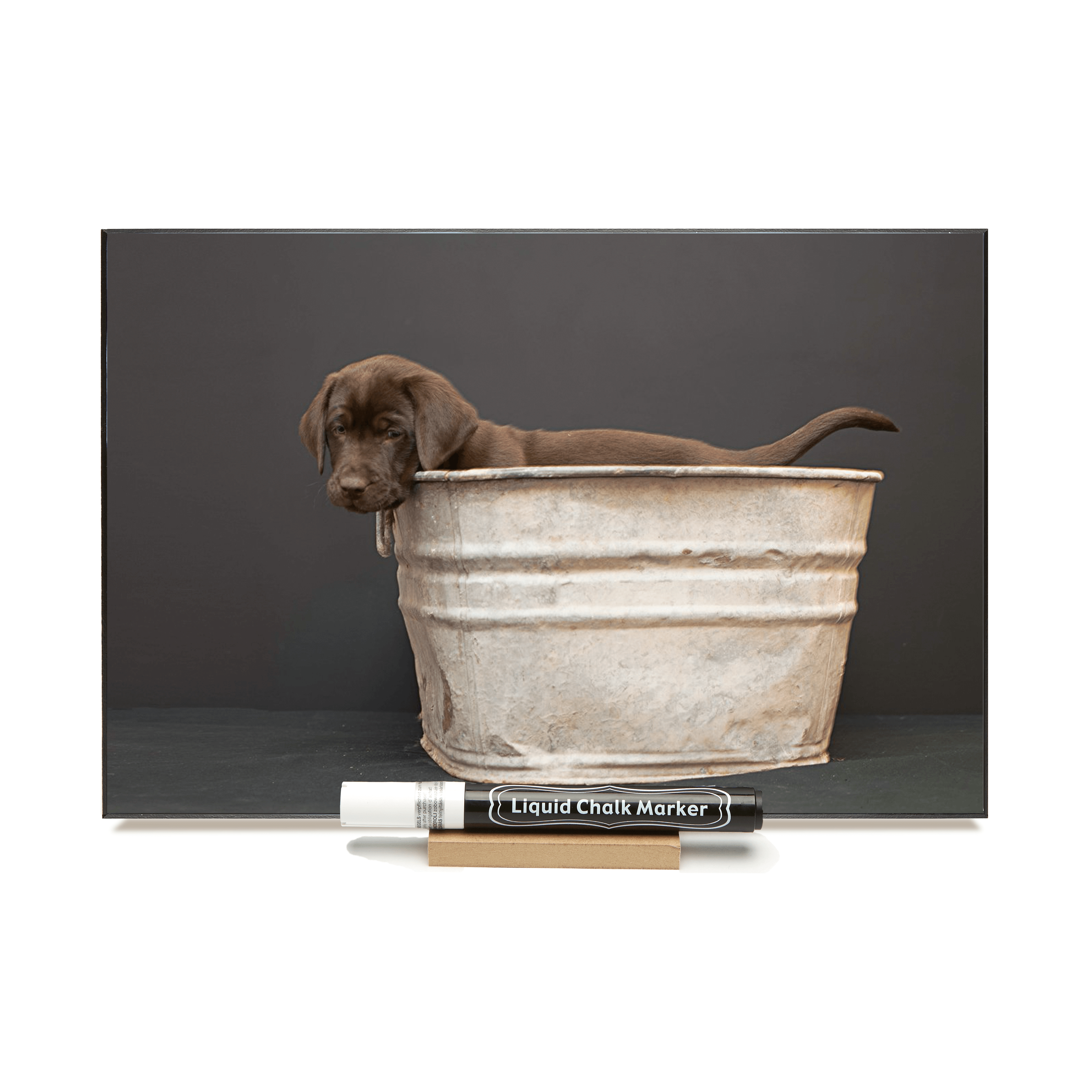 "Lab Pup In Tub"  PHOTO CHALKBOARD  Includes Chalkboard, Chalk Marker and Stand