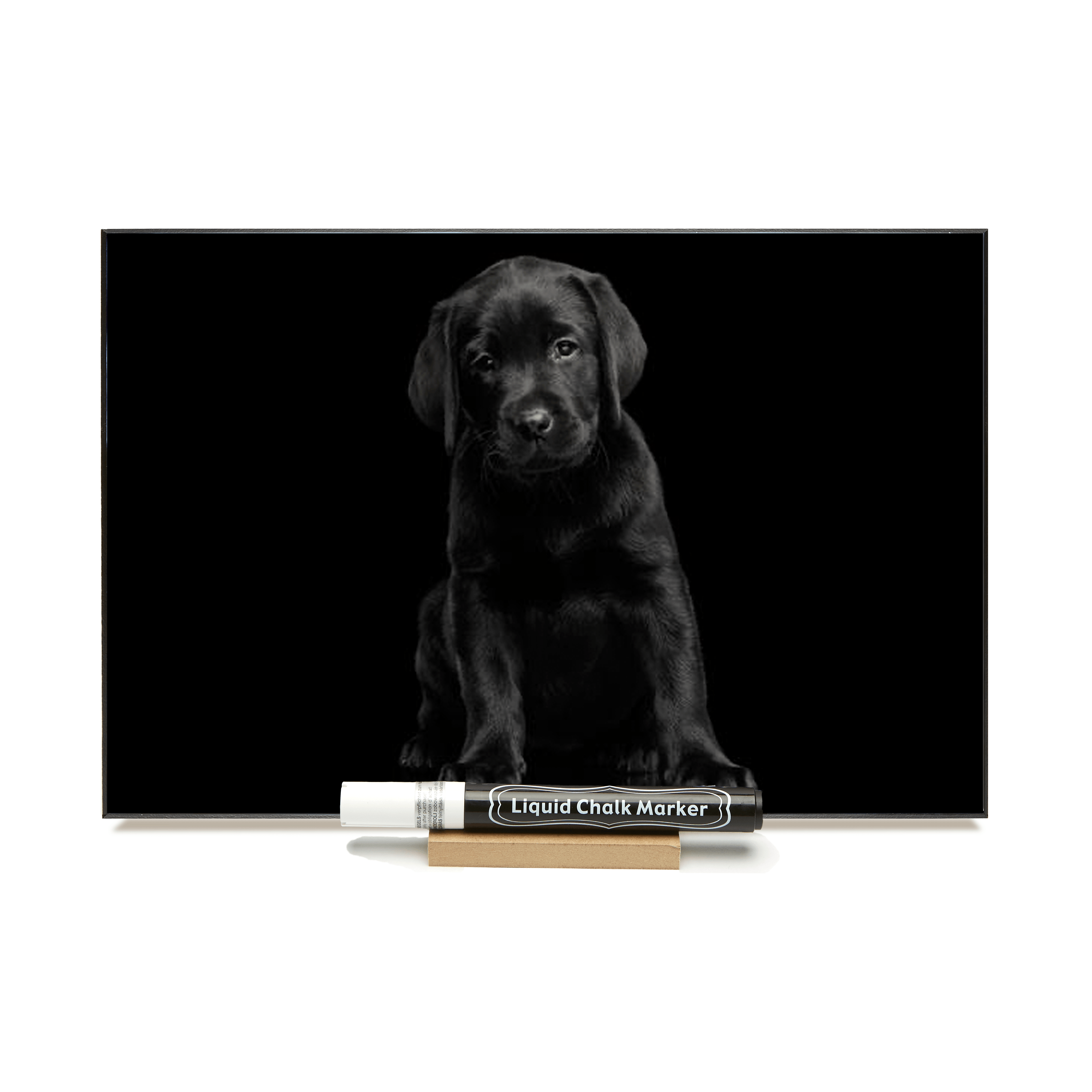 "Black Lab Pup" PHOTO CHALKBOARD Includes Chalkboard, Chalk Marker and Stand
