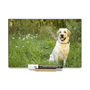"Yellow Lab"  PHOTO CHALKBOARDS  Includes Chalkboard, Chalk Marker and Stand