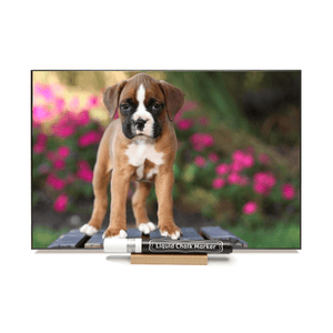 "Boxer Puppy"  PHOTO CHALKBOARD Includes Chalkboard, Chalk Marker and Stand