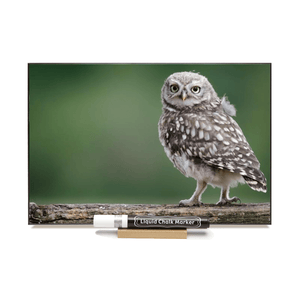"Owl"  PHOTO CHALKBOARD  Includes Chalkboard, Chalk Marker & Stand
