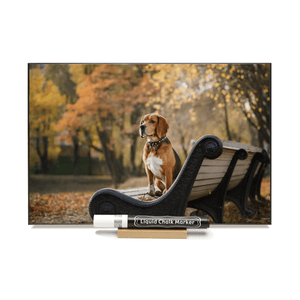 "Beagle On Bench" PHOTO CHALKBOARD Includes Chalkboard, Chalk Marker and Stand